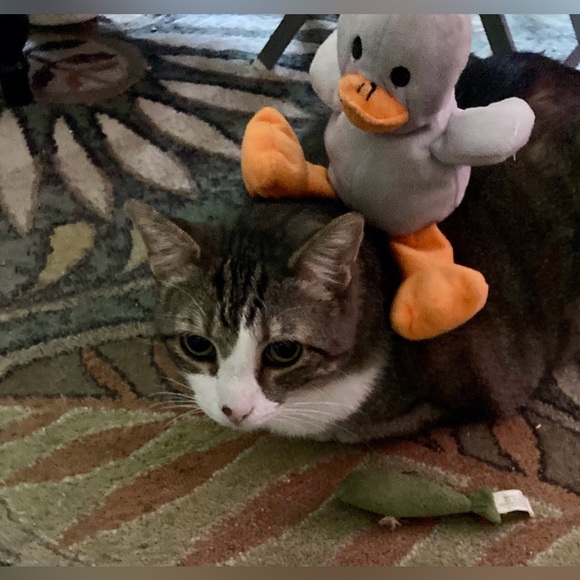 Meet your Posher, Beverly - Picture 10 of 16